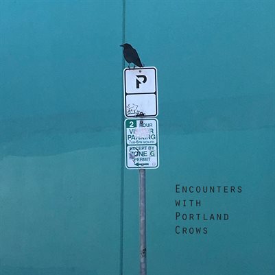 Encounters with Portland Crows