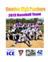 Camden High Panthers 2013 Baseball Team