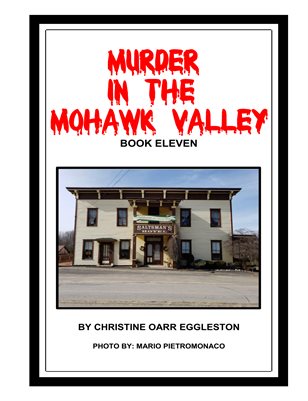 Murder in the Mohawk Valley Book 11