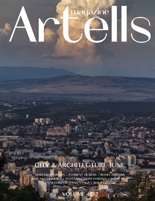 Publication preview