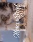Mercer Street Maine Coon's Kitten Fever 2025 Calendar