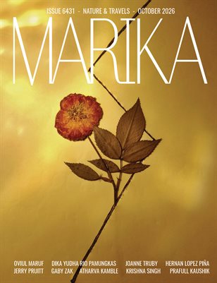Publication preview