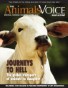 Journeys to Hell