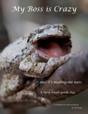 Publication preview