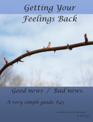 Getting your feelings back.