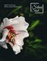 Issue 37 Flowers