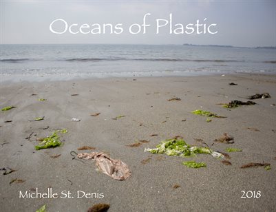 Michelle St. Denis, Oceans of Plastic (Senior Art Exhibition 2018)
