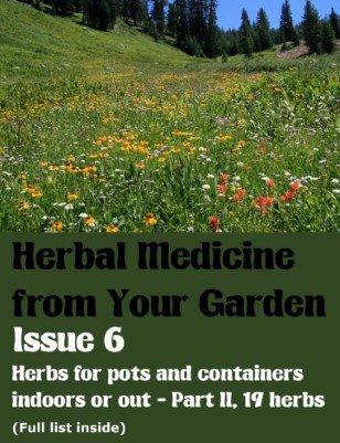 Herbs for pots and containers II