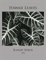 Randy Efros - Hawaii Leaves Portfolio