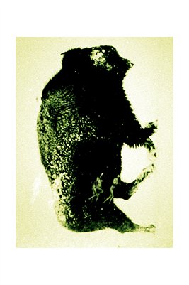 Buchet Frédéric - Dbl Xpo 001 - 003/020