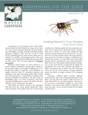 Publication preview