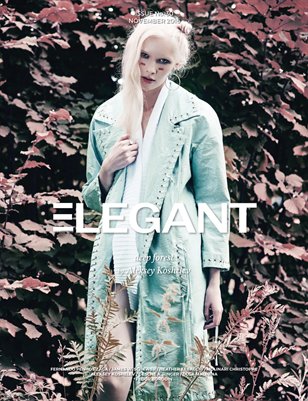 Fashion #14 (November 2016)