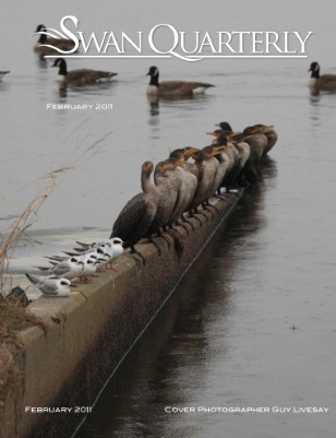 Swan Quarterly 02-2011