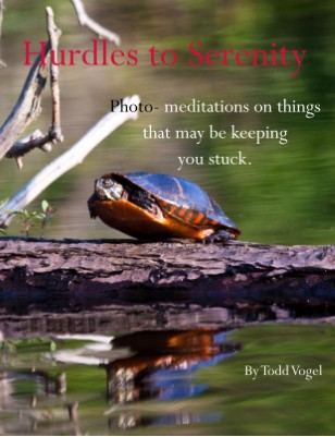 Publication preview