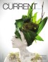 CURRENT STUDIO | Photographer Issue Summer 2010
