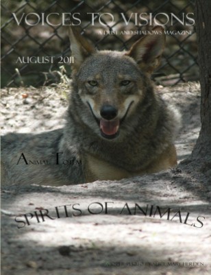 Publication preview