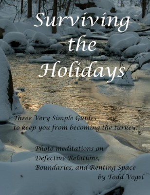 Surviving the holidays