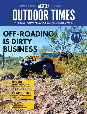 Publication preview
