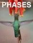 Phases