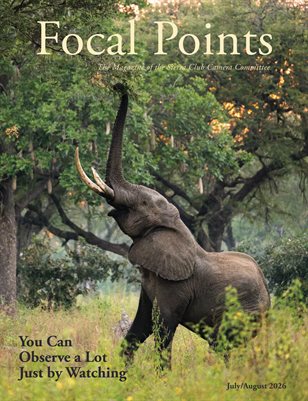Focal Points July/August 2026