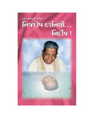 The Flawless Vision (In Gujarati)