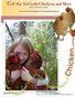 Toil the Soil Online Magazine about Chickens