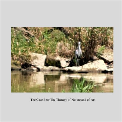 The therapy of art and nature