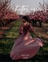 Shutter Up Magazine Issue 557 Open