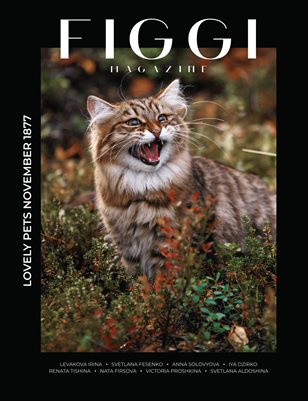 FIGGI MAGAZINE - LOVELY PETS NOVEMBER (Vol 1877)