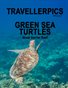 Green Sea Turtles Great Barrier Reef