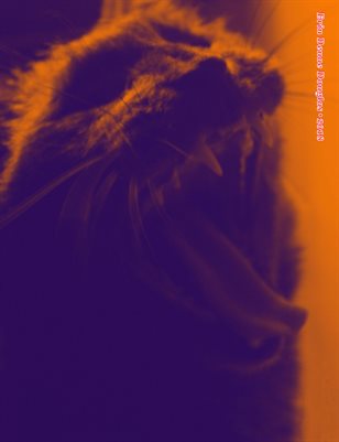 Erin Douglas 2018 Catalog