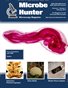 February 2013 (Vol. 3, No. 2) 