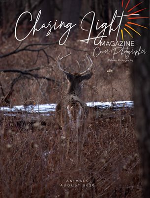 Publication preview