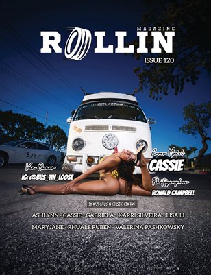 Publication preview