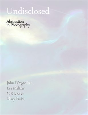 Undisclosed Spring 2014 DAgostino Cover