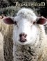 The Shepherd March 2013