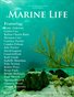 Ms. Wright's Class - Marine Life 2012