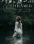 Framed Photographer Magazine, Issue 143
