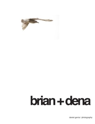 Brian+Dena