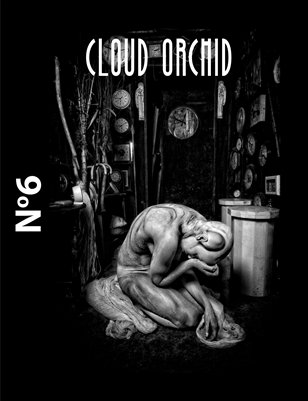 Cloud Orchid January 2014 Issue 06 - US Cover Edition