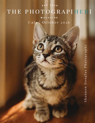 Publication preview