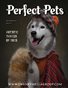 Perfect Pets Portrait December 2024 Issue 01