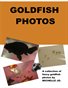 GOLDFISH PHOTOS