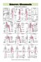 Sinews Channels Acupuncture Poster (Double Sided)