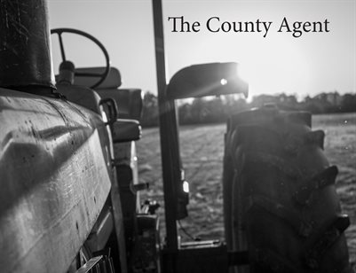 The County Agent