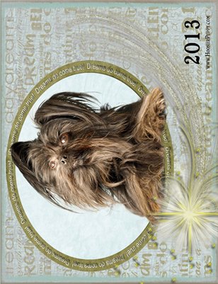 Hoosier Puppy's 2013 Calendar