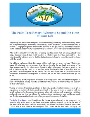The Palm Tree Resort: Where to Spend the Time of Your Life