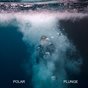 Polar Plunge