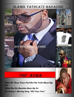 Publication preview