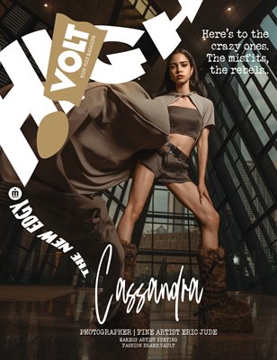 HIGH VOLT Issue: #236